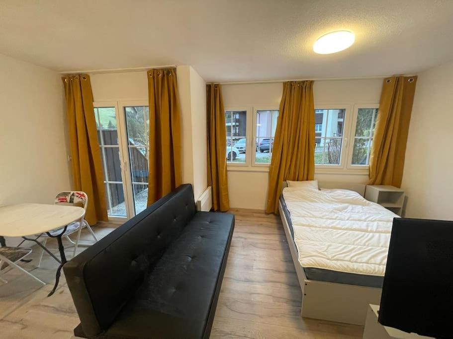 Joli Studio Au Pied Du Moleson Gruyeres Ngoại thất bức ảnh
